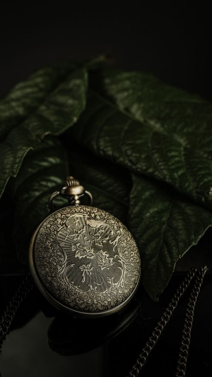 Home Antique pocket watch with intricate design on green leaves, evoking luxury and nature.